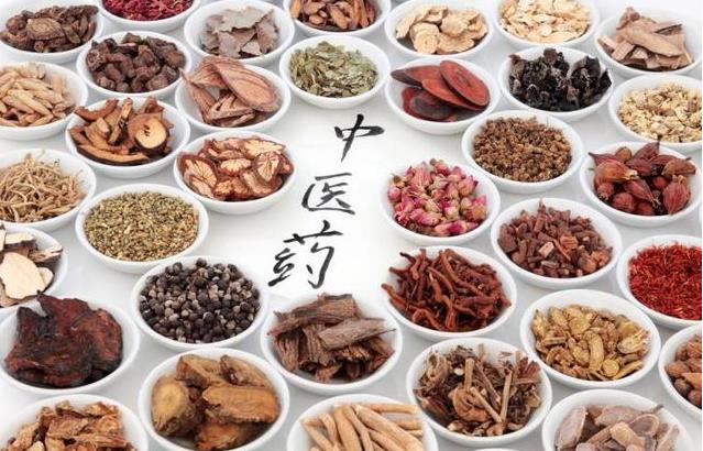 Lu Qingguo, NPC Representative: Initiate Pharmacopoeia Revision to Promote the Inheritance, Innovation, and Development of Traditional Chinese Medicine